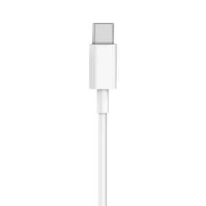 Maxon P-10C USB Type-C to -C 60w Data Cable